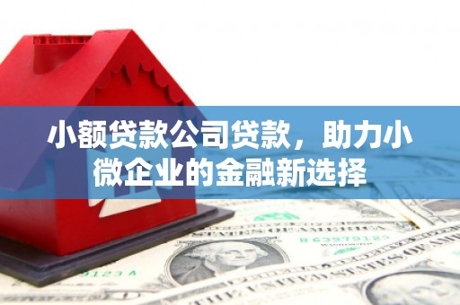 泸州小额贷款公司贷款，助力小微企业的金融新选择