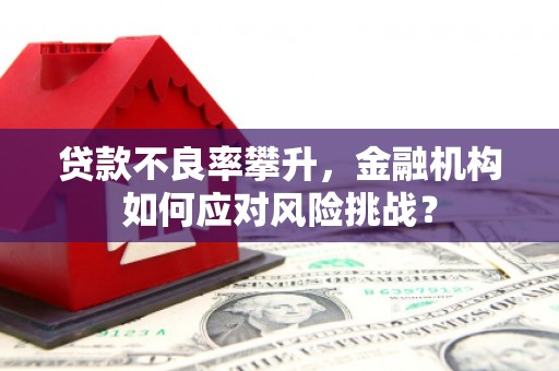 泸州贷款不良率攀升，金融机构如何应对风险挑战？