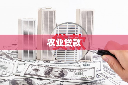 泸州农业贷款
