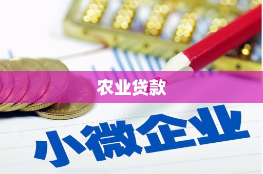 泸州农业贷款