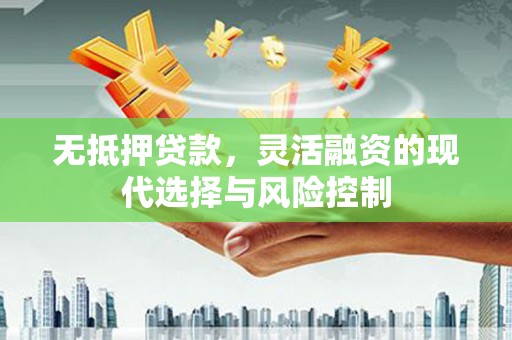 泸州无抵押贷款，灵活融资的现代选择与风险控制