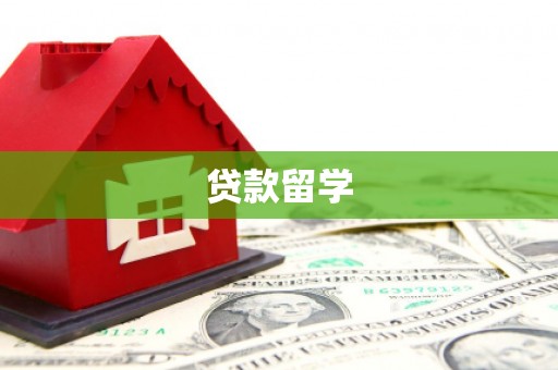 泸州贷款留学