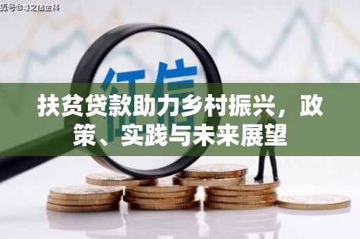 泸州扶贫贷款助力乡村振兴，政策、实践与未来展望