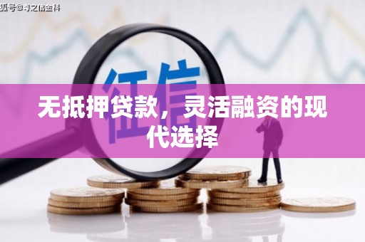 泸州无抵押贷款，灵活融资的现代选择