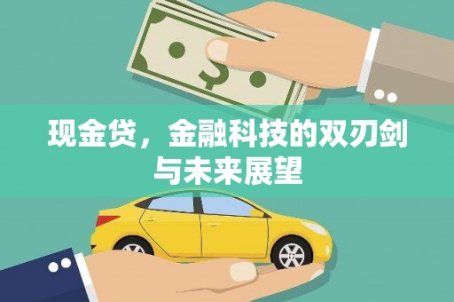 泸州现金贷，金融科技的双刃剑与未来展望