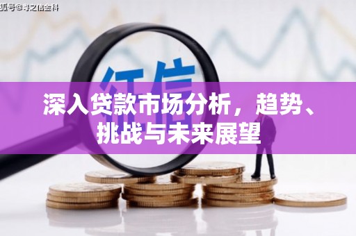 泸州深入贷款市场分析，趋势、挑战与未来展望
