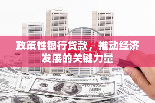 泸州政策性银行贷款，推动经济发展的关键力量