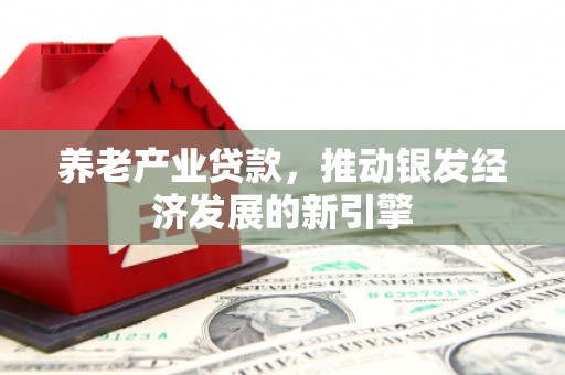 泸州养老产业贷款，推动银发经济发展的新引擎