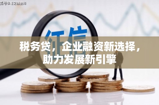 泸州税务贷，企业融资新选择，助力发展新引擎