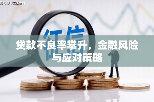 泸州贷款不良率攀升，金融风险与应对策略