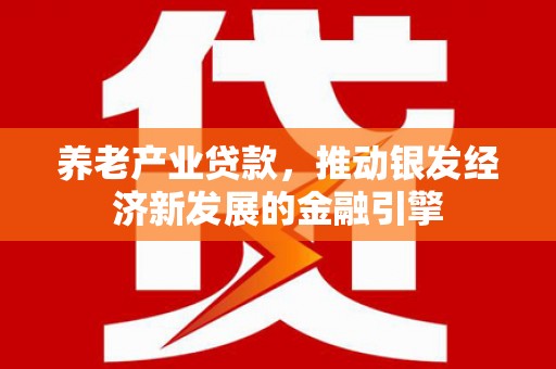 泸州养老产业贷款，推动银发经济新发展的金融引擎