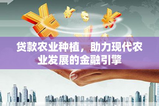 泸州贷款农业种植，助力现代农业发展的金融引擎