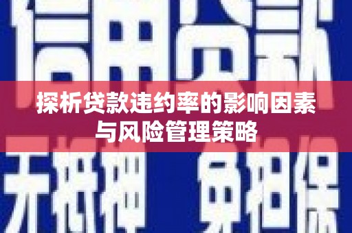 泸州探析贷款违约率的影响因素与风险管理策略