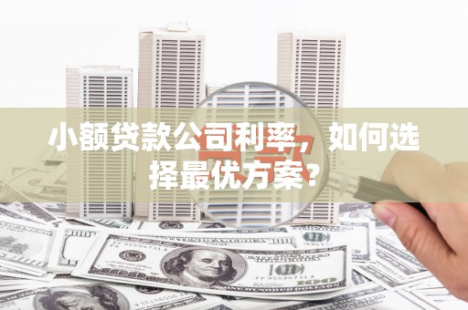 泸州小额贷款公司利率，如何选择最优方案？