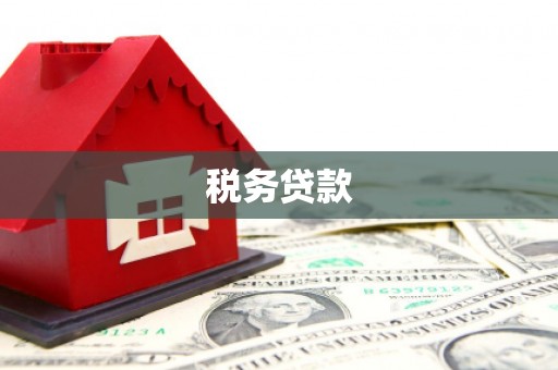 泸州税务贷款