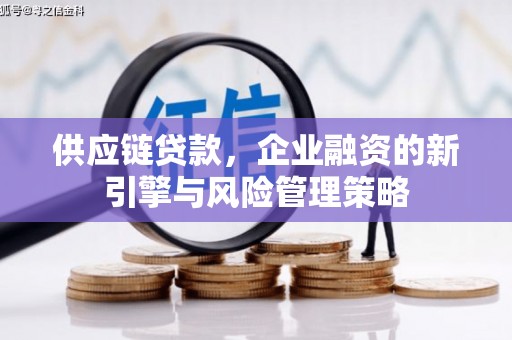 泸州供应链贷款，企业融资的新引擎与风险管理策略