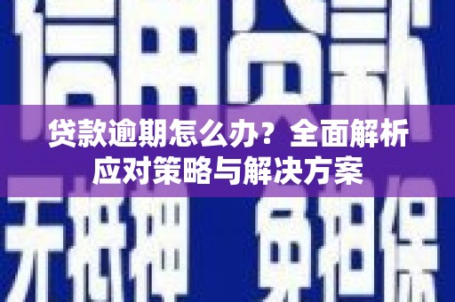 泸州贷款逾期怎么办？全面解析应对策略与解决方案