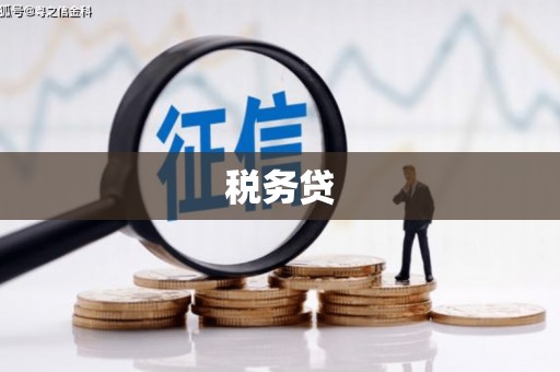 泸州税务贷