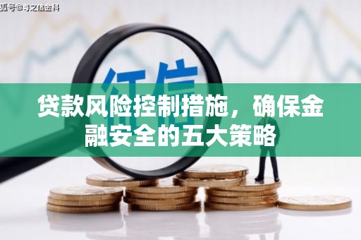 泸州贷款风险控制措施，确保金融安全的五大策略