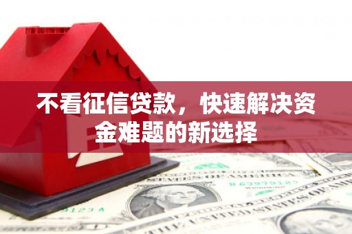 泸州不看征信贷款，快速解决资金难题的新选择