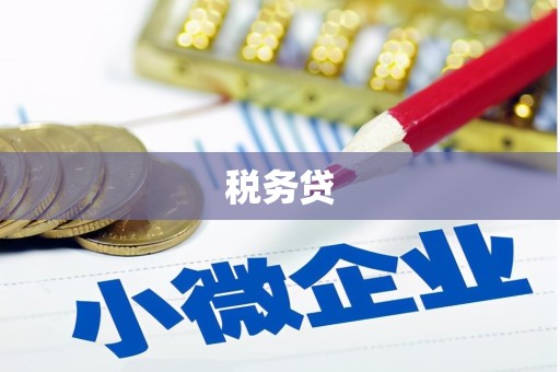 泸州税务贷