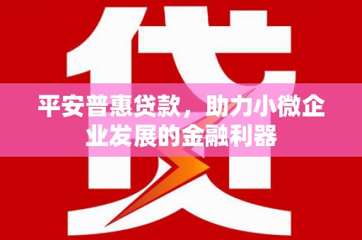 泸州平安普惠贷款，助力小微企业发展的金融利器