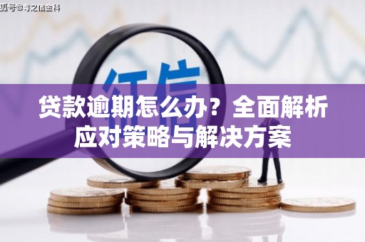 泸州贷款逾期怎么办？全面解析应对策略与解决方案