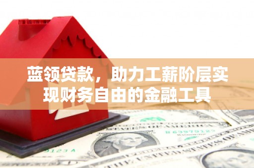泸州蓝领贷款，助力工薪阶层实现财务自由的金融工具