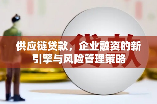 泸州供应链贷款，企业融资的新引擎与风险管理策略
