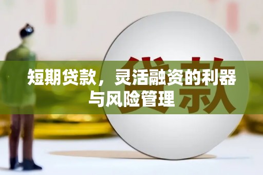 泸州短期贷款，灵活融资的利器与风险管理
