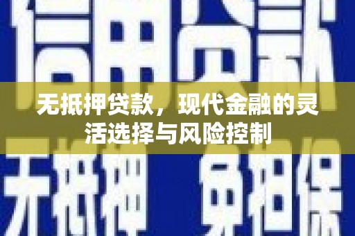 泸州无抵押贷款，现代金融的灵活选择与风险控制