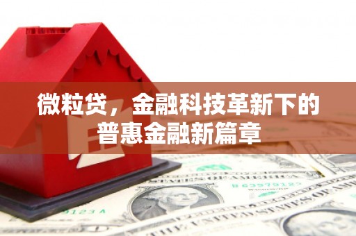 泸州微粒贷，金融科技革新下的普惠金融新篇章