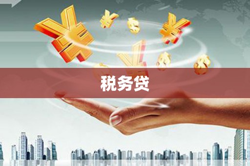 泸州税务贷