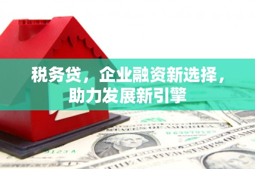 泸州税务贷，企业融资新选择，助力发展新引擎