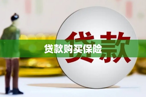 泸州贷款购买保险