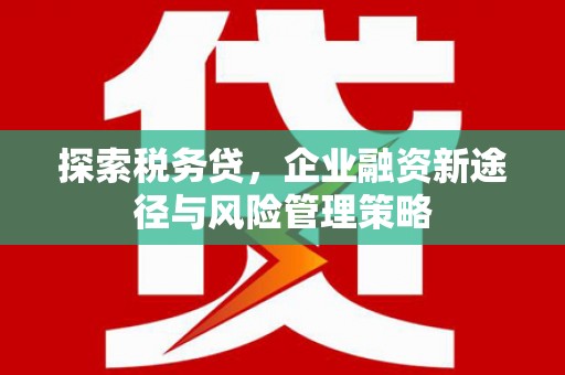 泸州探索税务贷，企业融资新途径与风险管理策略