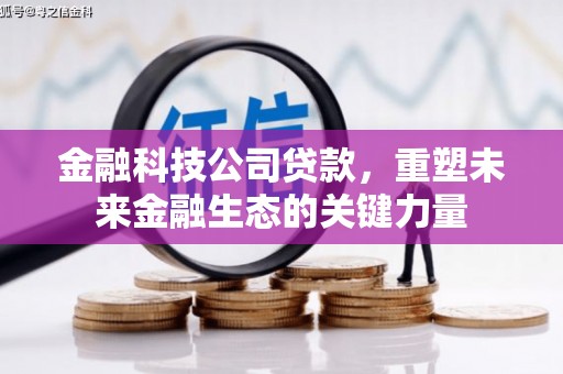 泸州金融科技公司贷款，重塑未来金融生态的关键力量