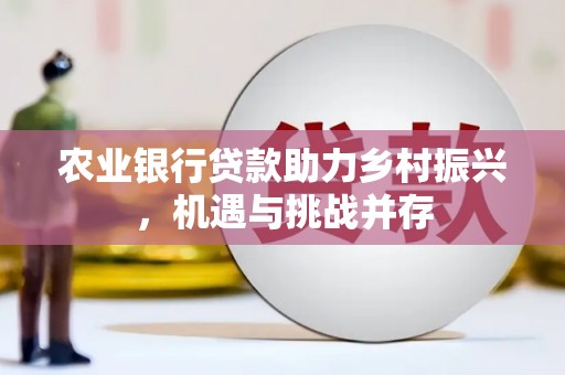 泸州农业银行贷款助力乡村振兴，机遇与挑战并存