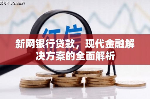 泸州新网银行贷款，现代金融解决方案的全面解析