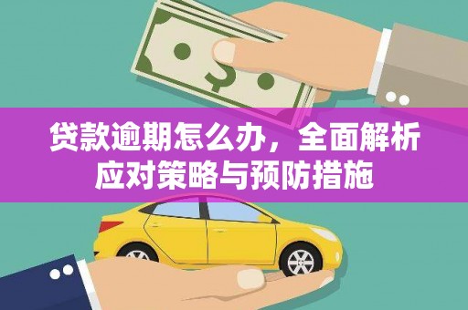 泸州贷款逾期怎么办，全面解析应对策略与预防措施