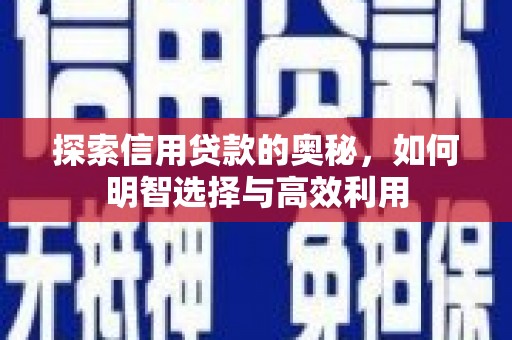 泸州探索信用贷款的奥秘，如何明智选择与高效利用