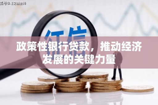 泸州政策性银行贷款，推动经济发展的关键力量