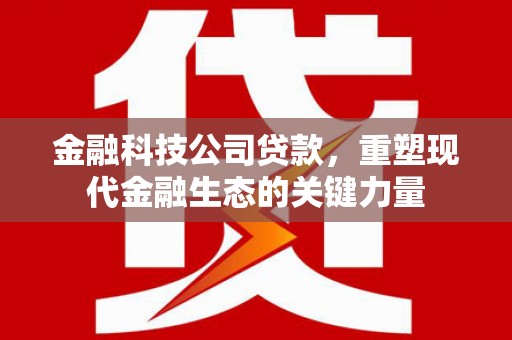 泸州金融科技公司贷款，重塑现代金融生态的关键力量