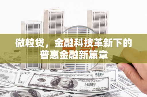 泸州微粒贷，金融科技革新下的普惠金融新篇章