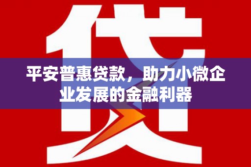 泸州平安普惠贷款，助力小微企业发展的金融利器