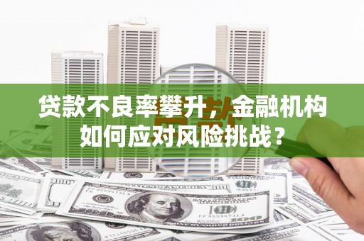泸州贷款不良率攀升，金融机构如何应对风险挑战？