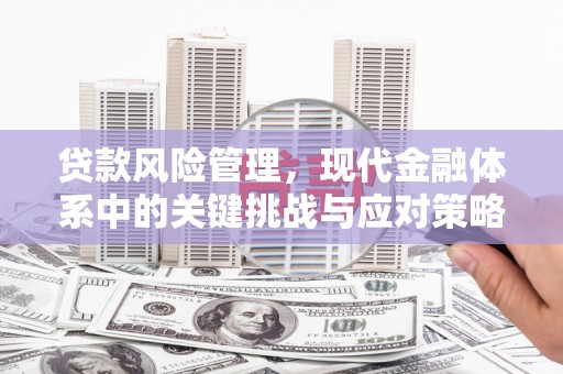 泸州贷款风险管理，现代金融体系中的关键挑战与应对策略