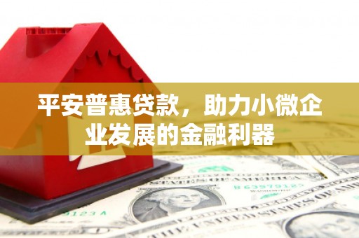 泸州平安普惠贷款，助力小微企业发展的金融利器