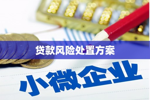 泸州贷款风险处置方案