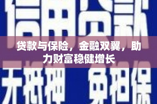 泸州贷款与保险，金融双翼，助力财富稳健增长